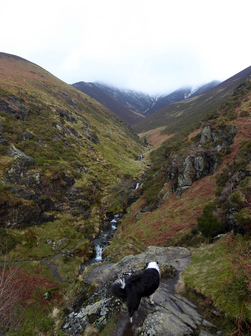 Scaley Beck