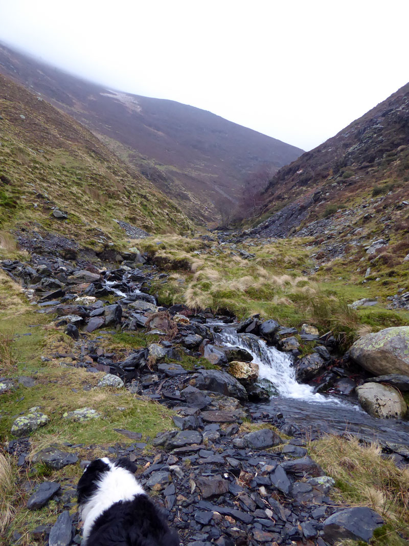 Doddick Gill
