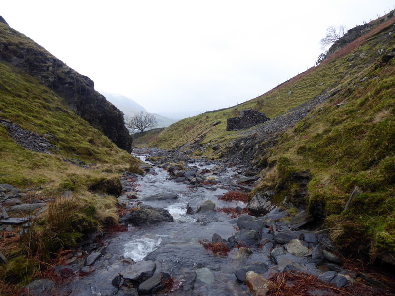 Gate Gill