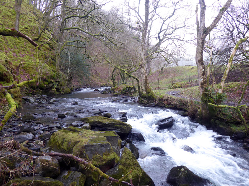 Glenderaterra Beck