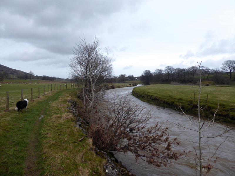 Glenderamackin