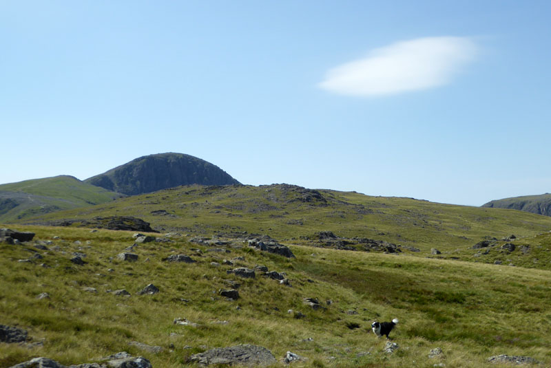 To Brandreth