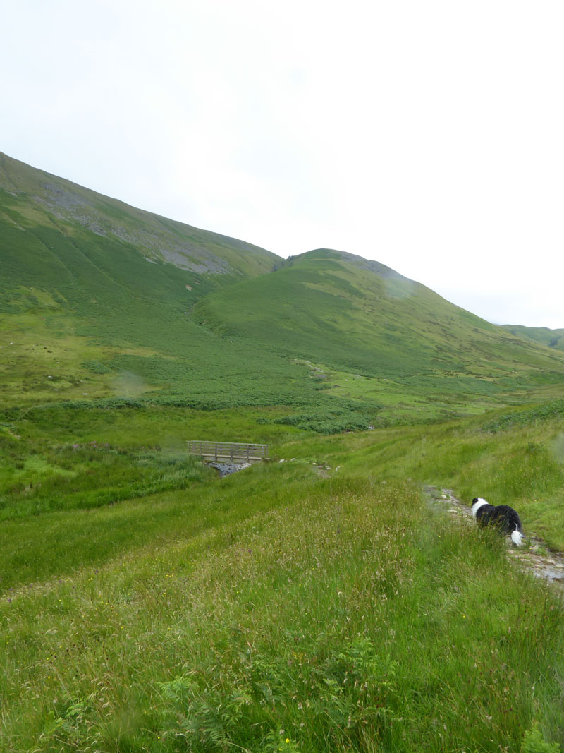 Dodd Gill