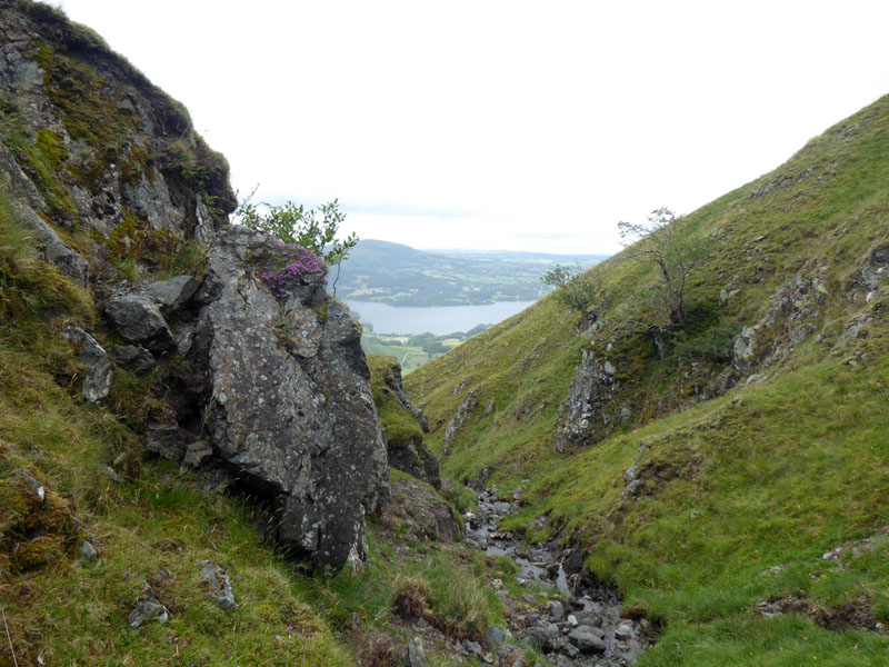 Dodd Gill