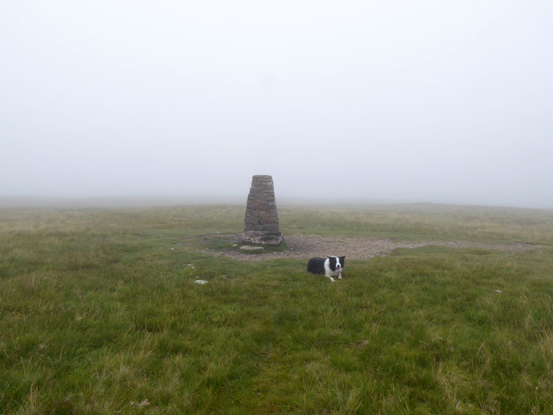 Molly Loadpot Hill