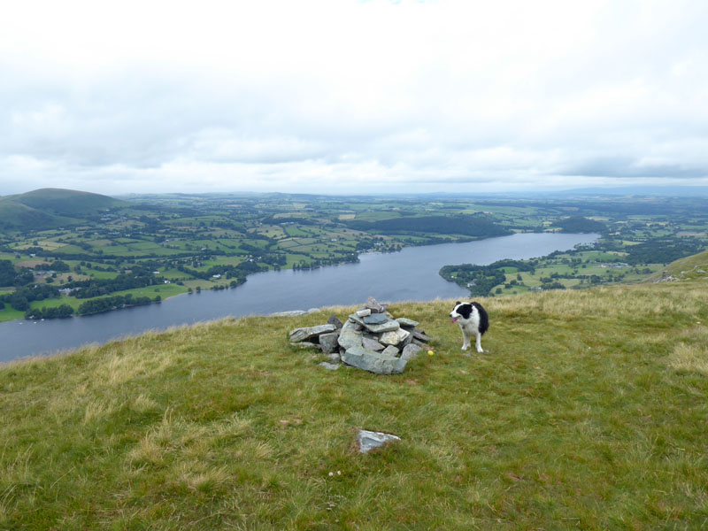 Bonscale Pike