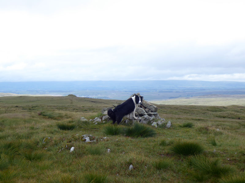 Molly Tarn Crag