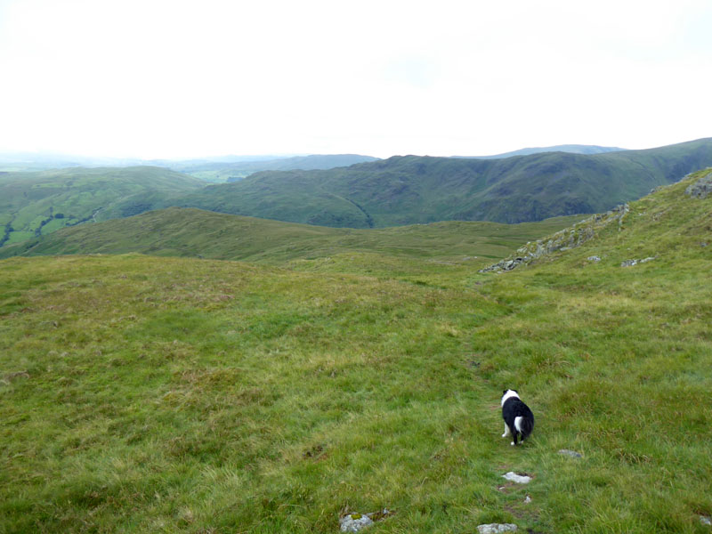 Greycrag Tarn