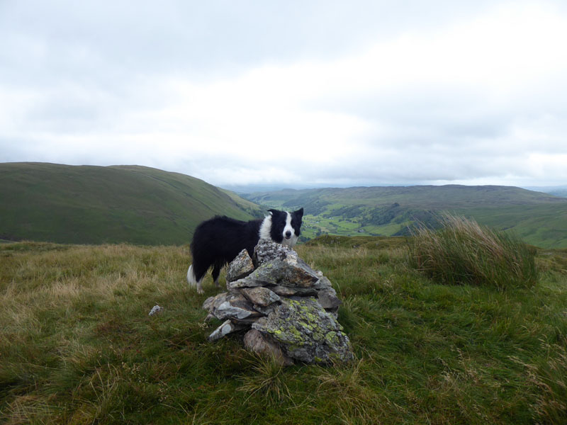 Grey Crag Summit