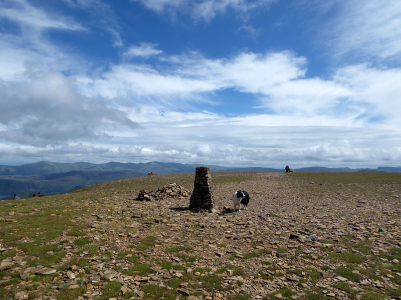 Molly Eel Crag