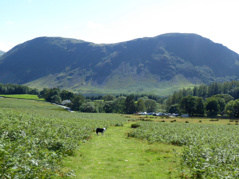 Lanthwaite Green