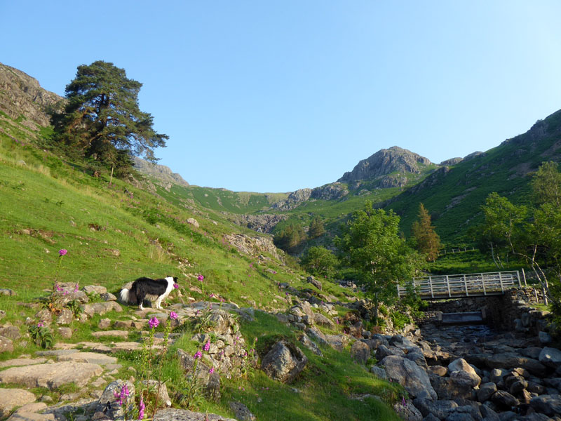 Tarn Crag