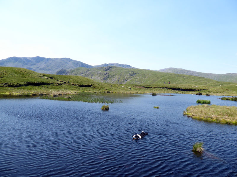 Stake Pass Tarn