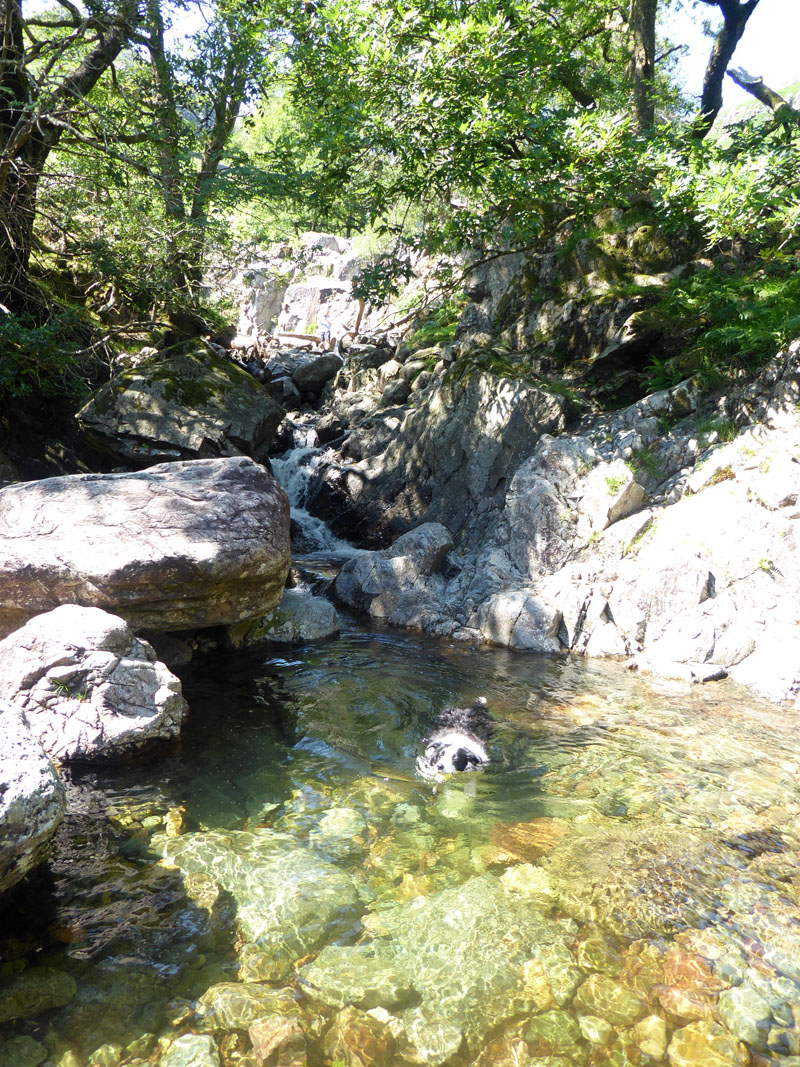 Mill Gill