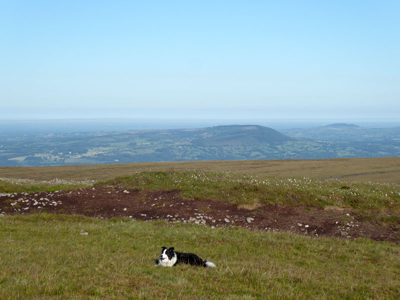 Longridge Fell