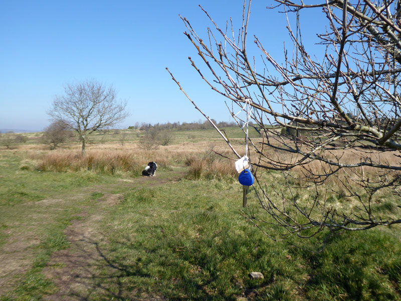 Key on a string