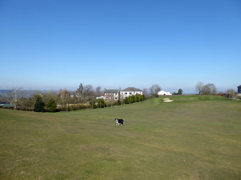 Nelson Golf Course