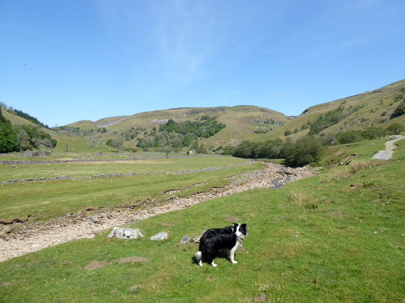 Swaledale