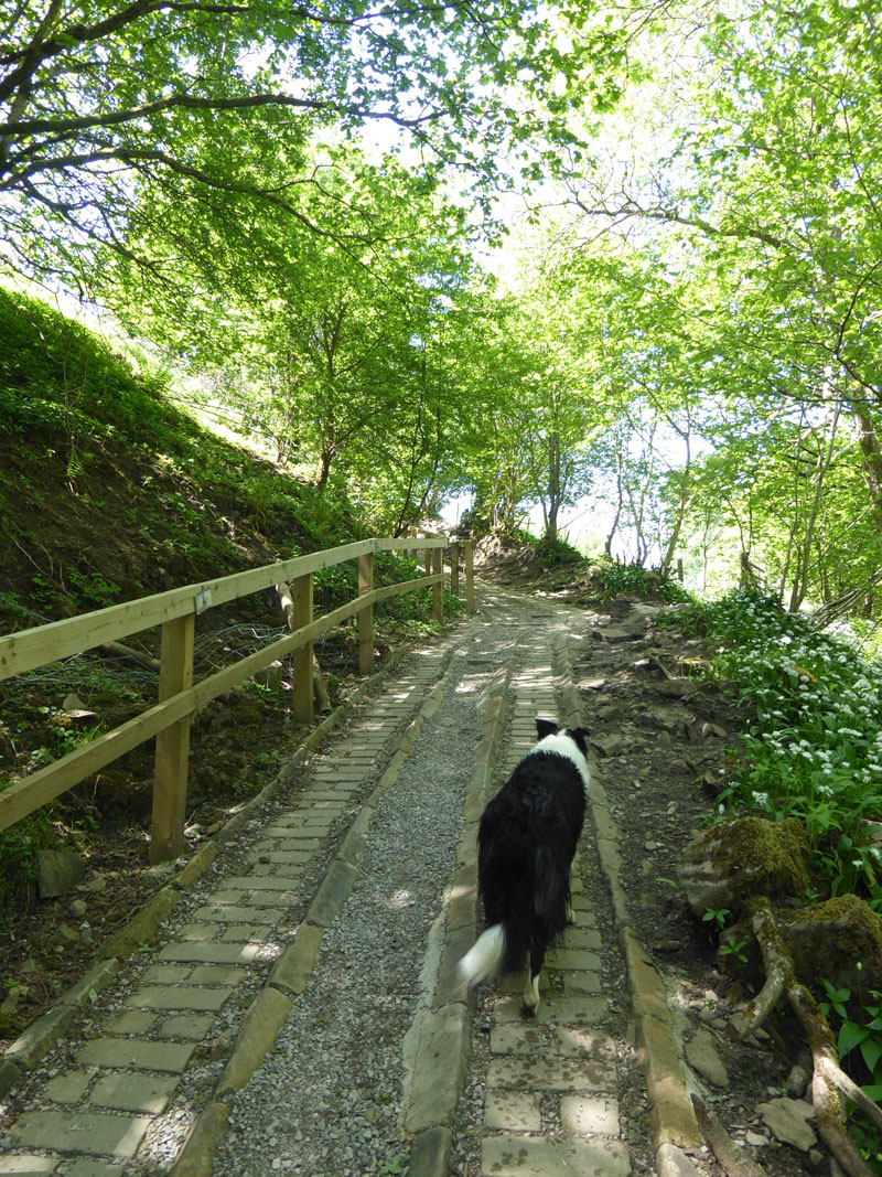 Steep steps