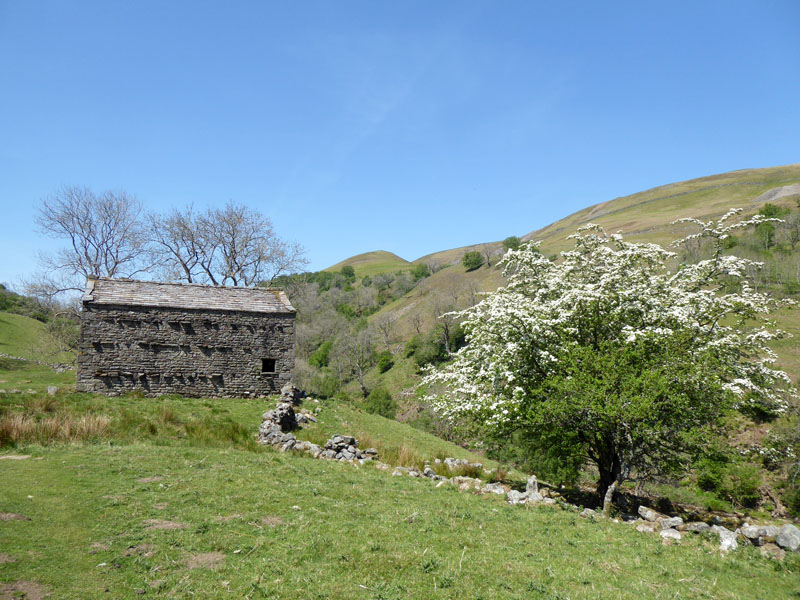 Swaledale