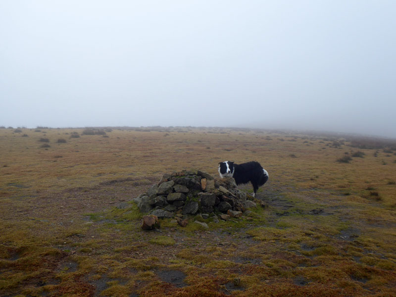 Stybarrow Dodd Summit