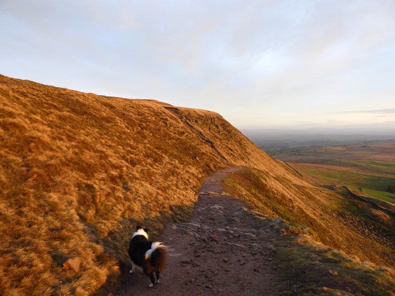 Pendle Descent