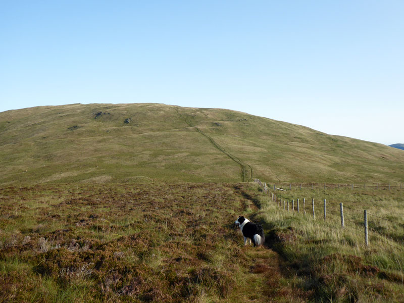 Up Gavel Fell