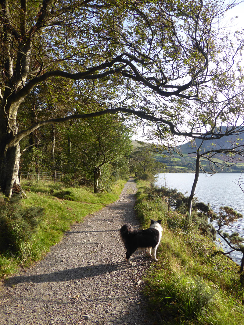 Ennerdale Lake Path