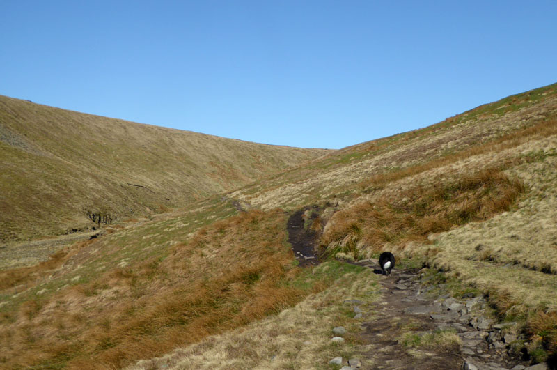 Ogden Clough