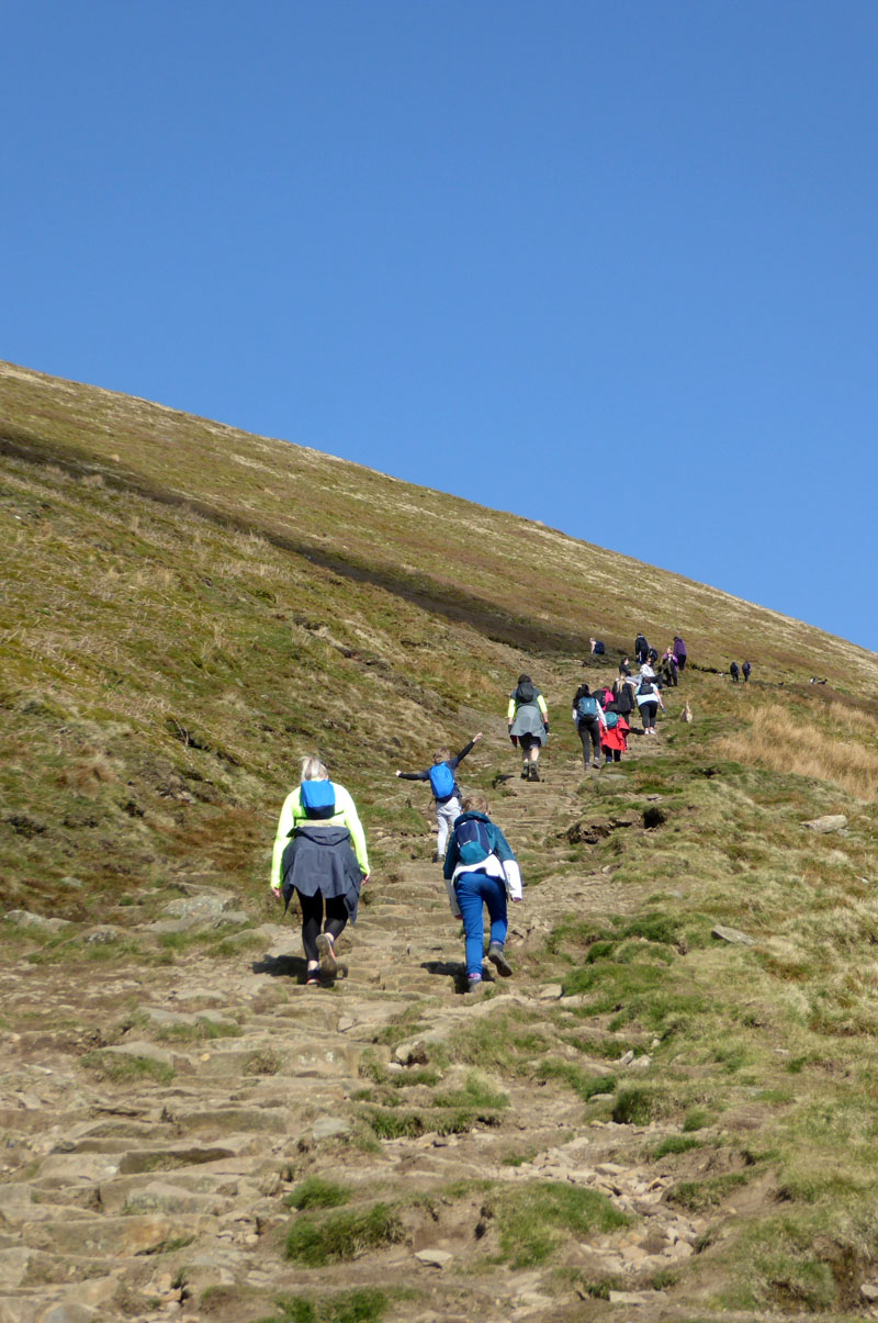 Step Climbers