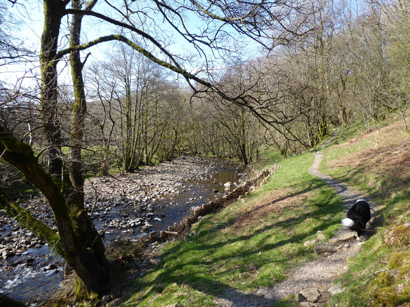 River Eden