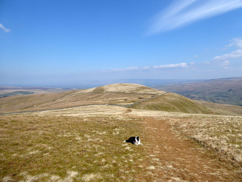 Wild Boar Fell