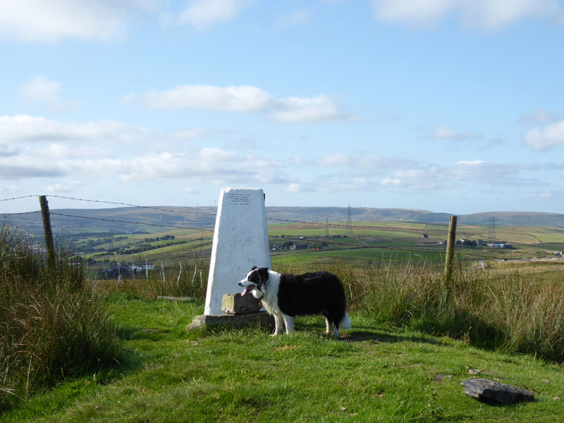Molly Thieveley Pike