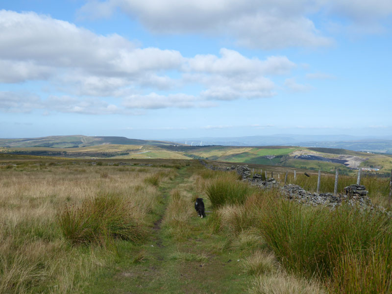 Deerplay Moor