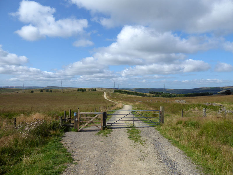 Hapton Walk