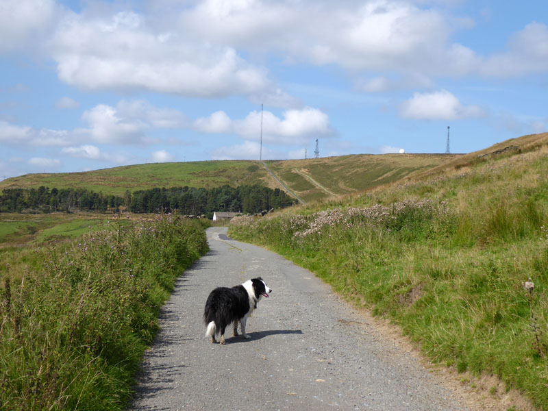 Hameldon Hill