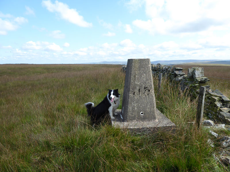 Hameldon Hill Trig
