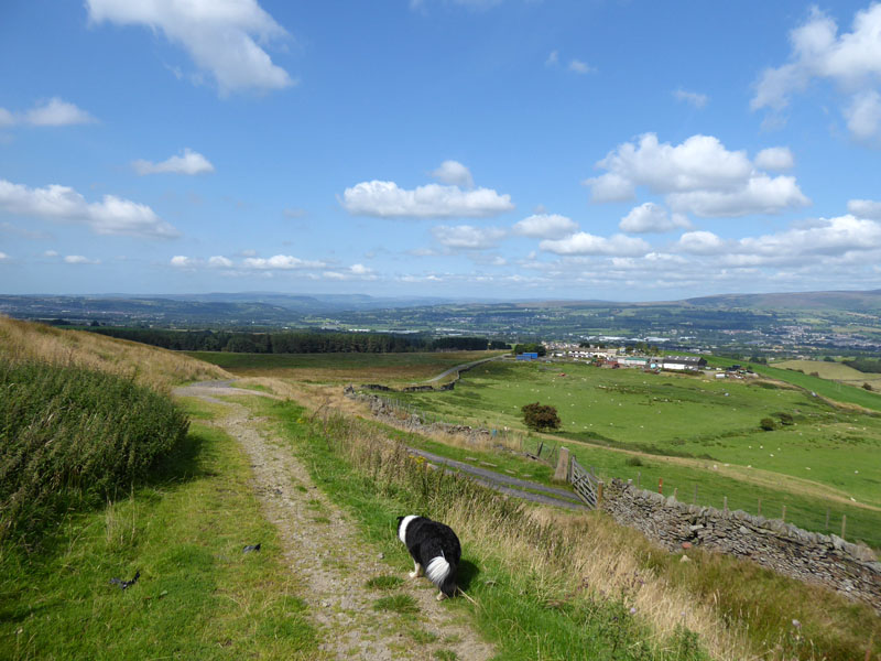 To Hapton