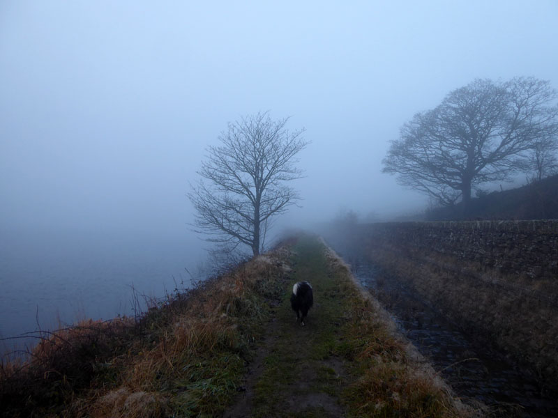 Misty Path