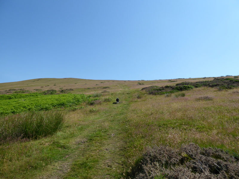 Mosser Fell