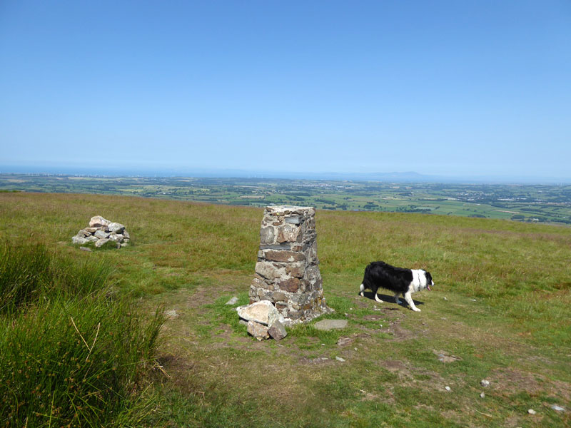 Fellbarrow Summit