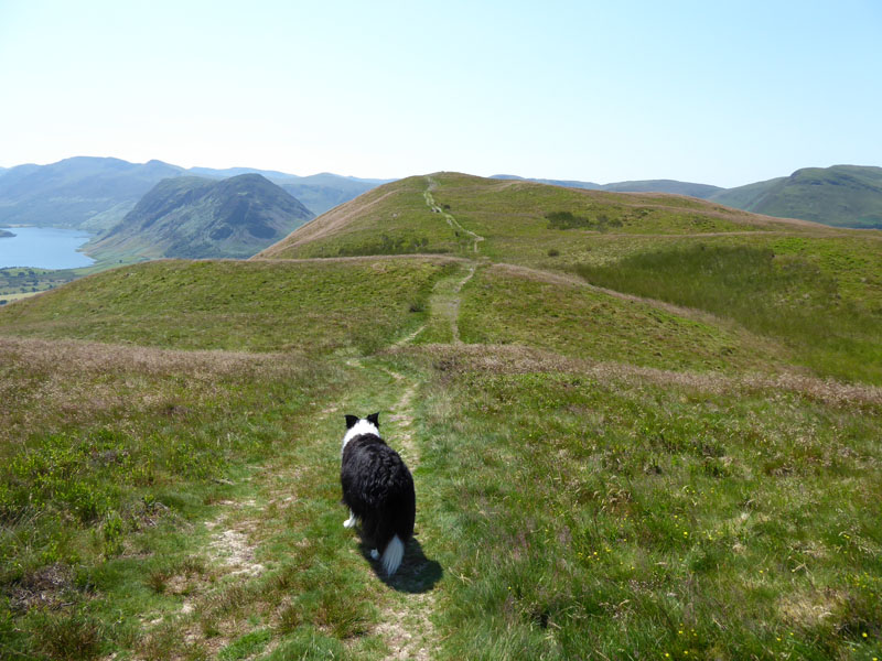 Fellbarrow Low Fell