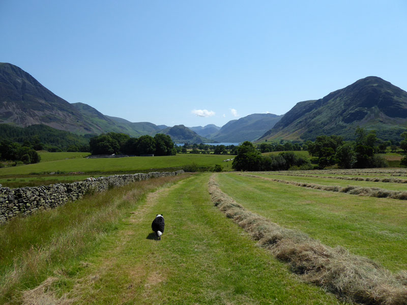 Godferhead Field