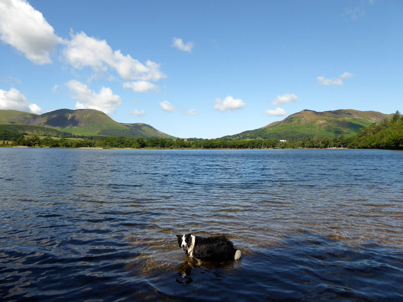 Crummock Water