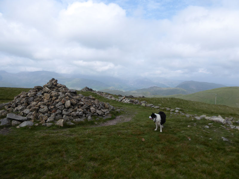 The Knott Summit