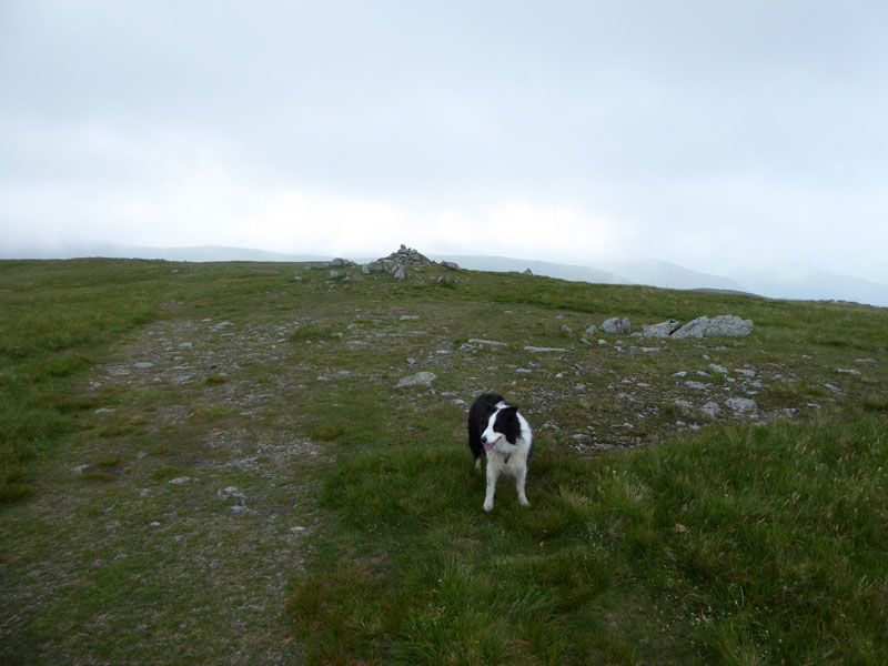 Rampsgill Head Summit