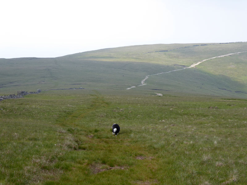 To Thornthwaite Crag