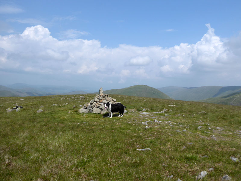 Molly Gray Crag