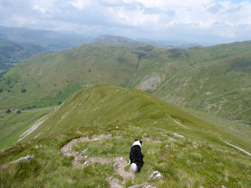 Gray Crag Descent