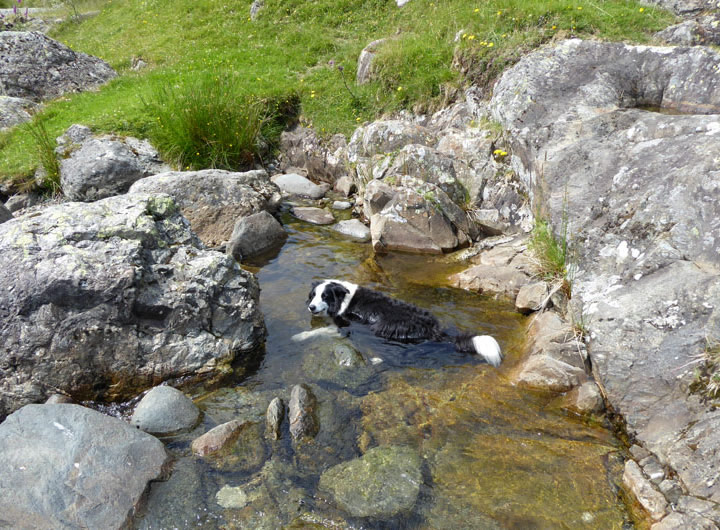 Hayeswater Gill